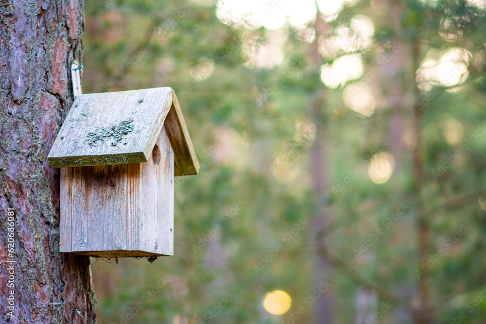 wooden birdhouse for birds on a tree in the Park close-up wooden birdhouse for birds on a tree in the Park close-up