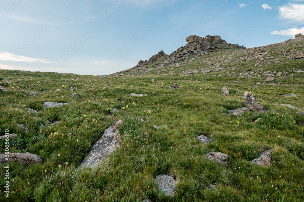 Rocks and Paintbrush Dot the Tundra below Stormy Peaks Pass