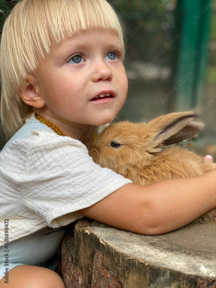 A blonde child caresses a red rabbit. A blonde child caresses a red rabbit.