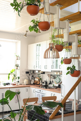 The interior of a white kitchen with a metal staircase in a cottage with potted plants in hanging planters. Green house in a modern style
