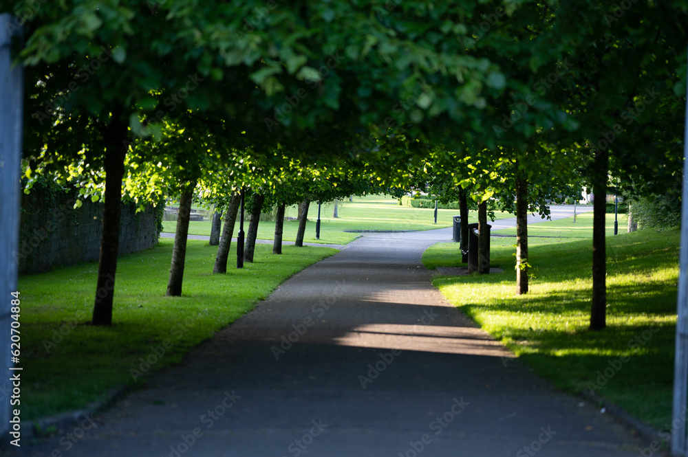 Beautiful alley of trees with no one on walkway.