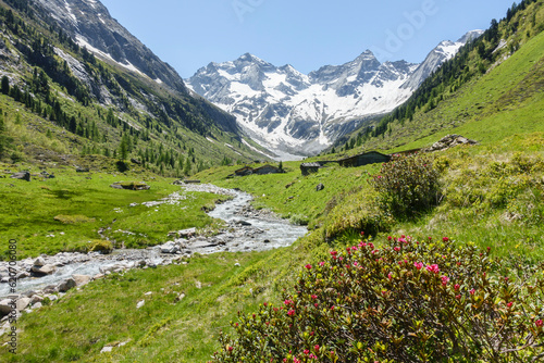 Herrliche Naturlandschaft in   sterreich mit Gebirgsbach  Almh  tten und Alpenrosen im Naturpark