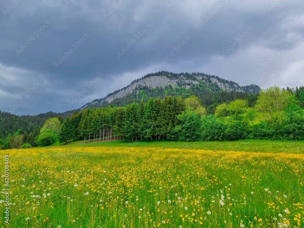Summer austrian landscape with green meadows and impressive mountains, view from small alpine village Tauplitz, Styria region, Austria
