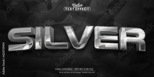 Silver text, shiny silver color style editable text effect