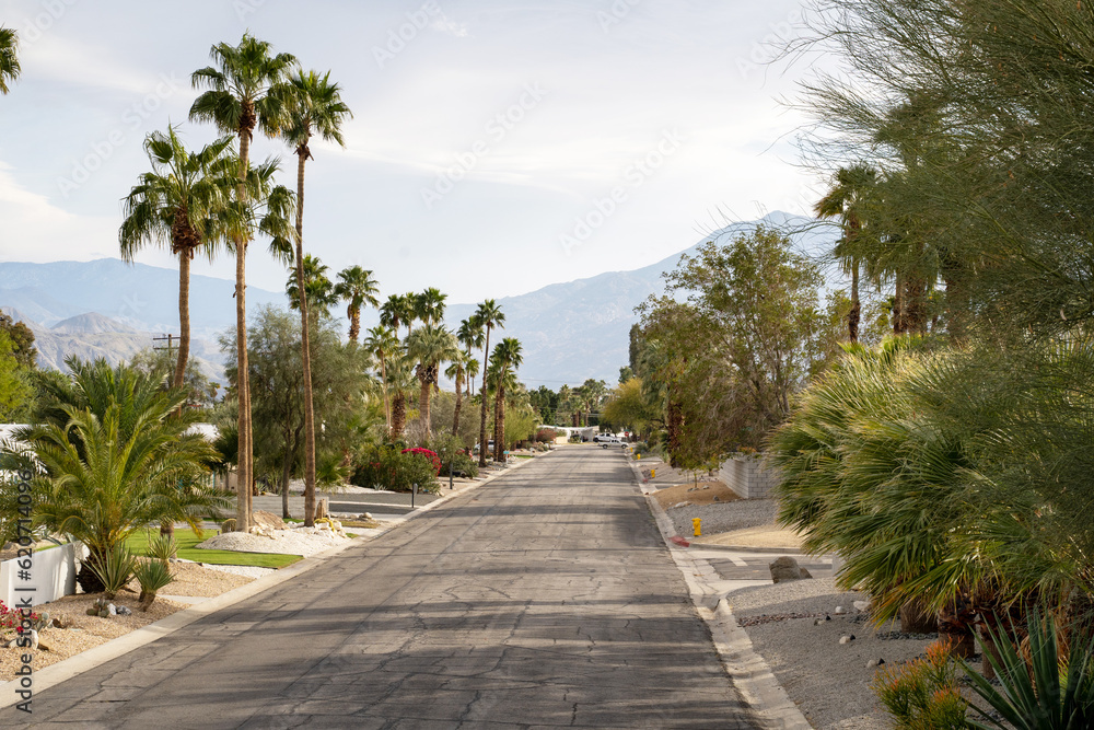 Palm Springs Streetscape