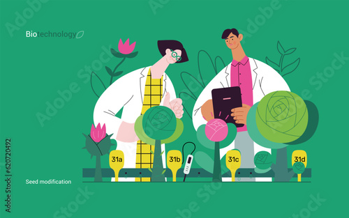 Bio Technology, Seed Modification -modern flat vector concept illustration of scientists analysing genetic modificated variants of a plant. Metaphor of direct impact of GMO on vegetation photo