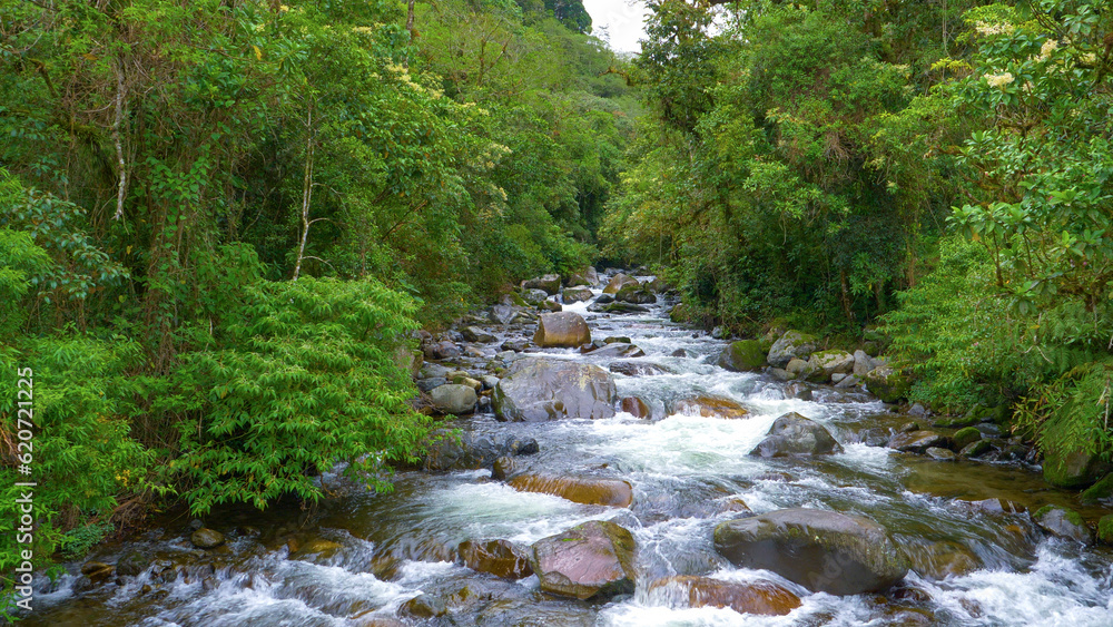 Fototapeta premium Vibrant green jungle trees surrounding pristine and free flowing Caldera River