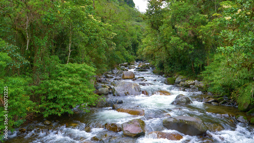 Vibrant green jungle trees surrounding pristine and free flowing Caldera River photo