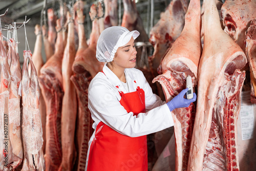 Female butcher inspecting temperature of pig carcass with food thermometer