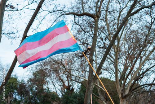 Transgender Flag During Women March Protest On The Streets.
 photo