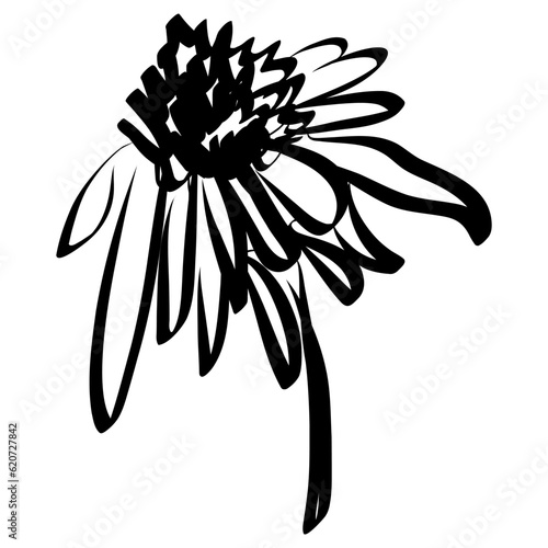 Flower Icon. Simple Hand Drawn Floral Element. Black Sketch ink Drawing Plant. Wildflower