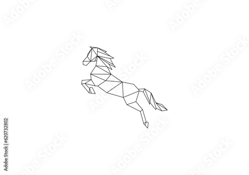 jump geometri horse