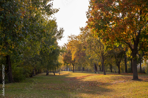 A park with an autumn forest