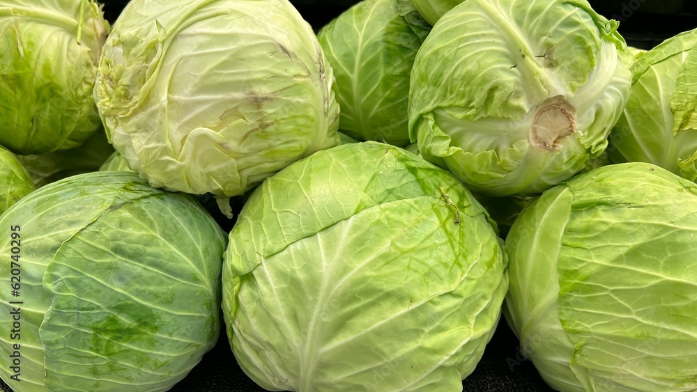 green cabbage in the market green cabbage in the market