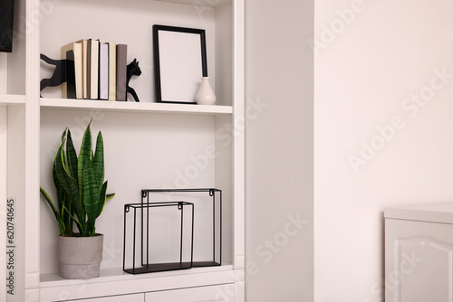 Interior design. Shelves with stylish accessories  potted plant and books indoors. Space for text