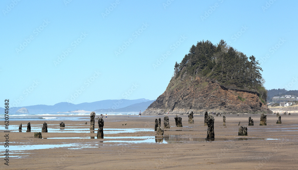 Along the Oregon Coast: Proposal rock with the Neskowin Ghost Forest - remains of ancient sitka spruce trees sunk under the water after an earthquake 2000 years ago.	