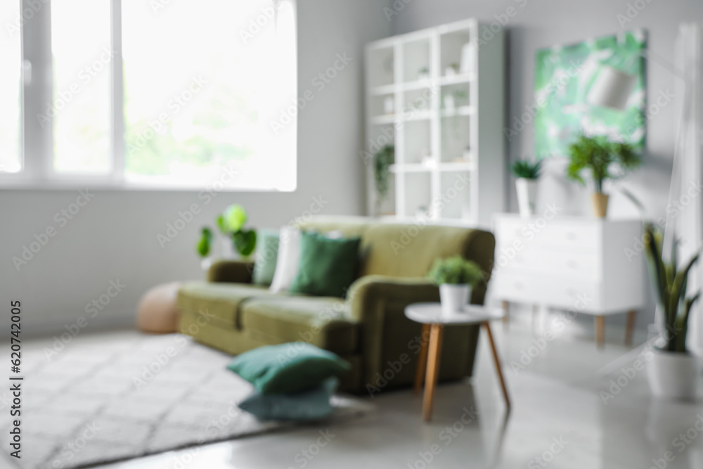 Interior of light living room with green sofa and houseplants, blurred view Interior of light living room with green sofa and houseplants, blurred view