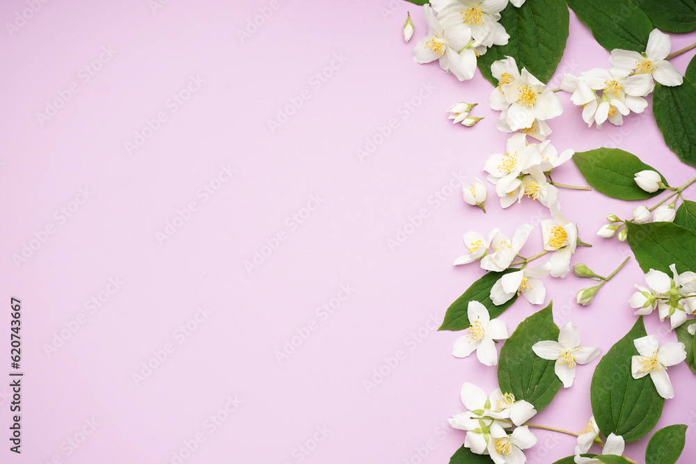 Composition with beautiful jasmine flowers and leaves on lilac background Composition with beautiful jasmine flowers and leaves on lilac background