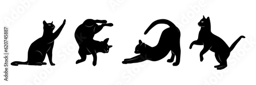 Czarny kot w różnych pozach. 4 koty na białym tle.