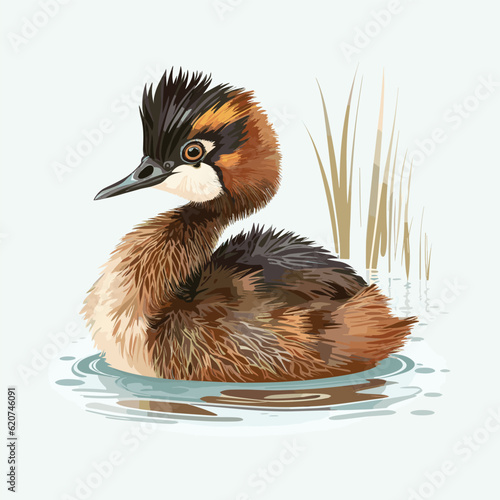 vector cute grebe cartoon style