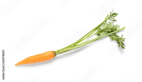 Fresh carrot with green tops isolated on white background