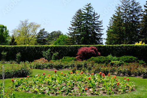 Wallpaper Mural A beautiful garden in a botanical park with a climbing hole for relaxation Torontodigital.ca