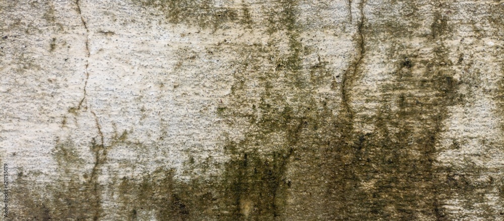 Obraz premium texture background