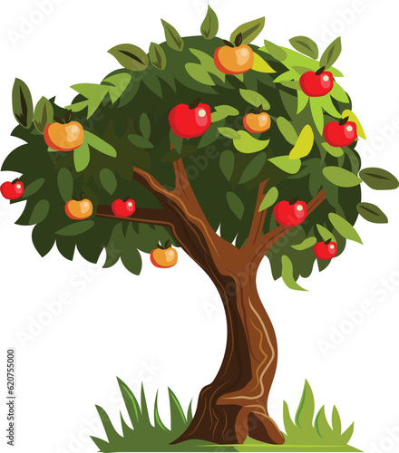 apple tree with apples