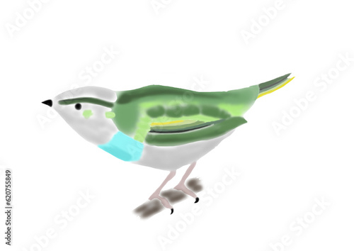 緑の小鳥