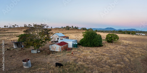 Cattle farm near Rockhampton, Queensland, Australia