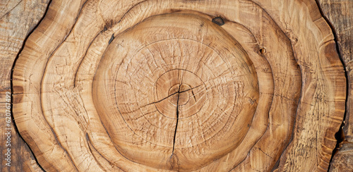 round teak wood stump background photo