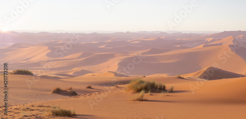 Sunrise panorama in the desert. Dunes Erg Chebbi in the Sahara desert near Merzouga, Morocco, Africa. Beautiful sand landscape with stunning sky. 