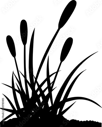 Silhouette reed plant vector image