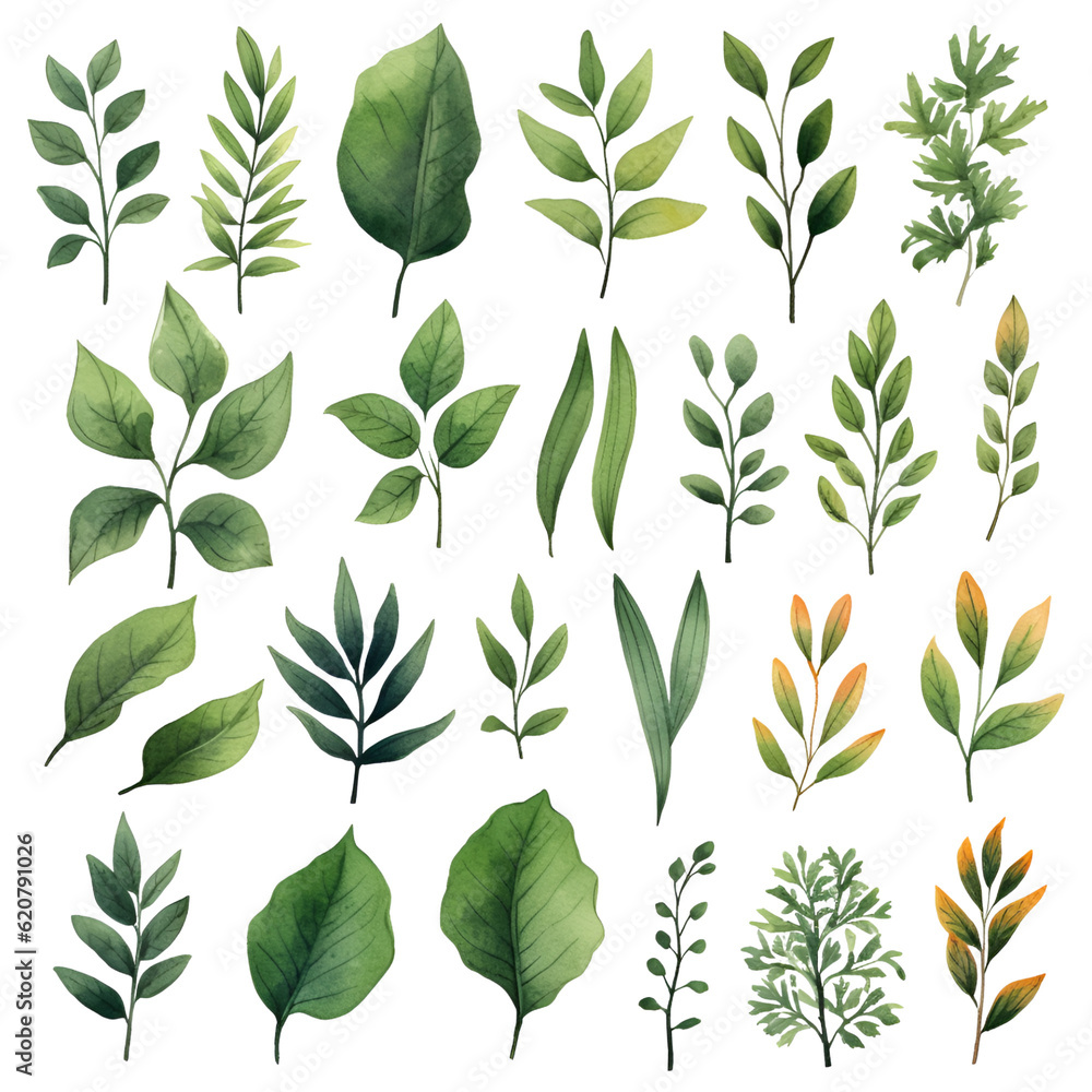 Leaves green clipart