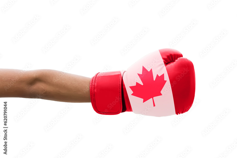 3D Flag of Canada on a boxing gloves.