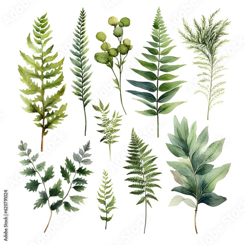 Leaves green clipart
