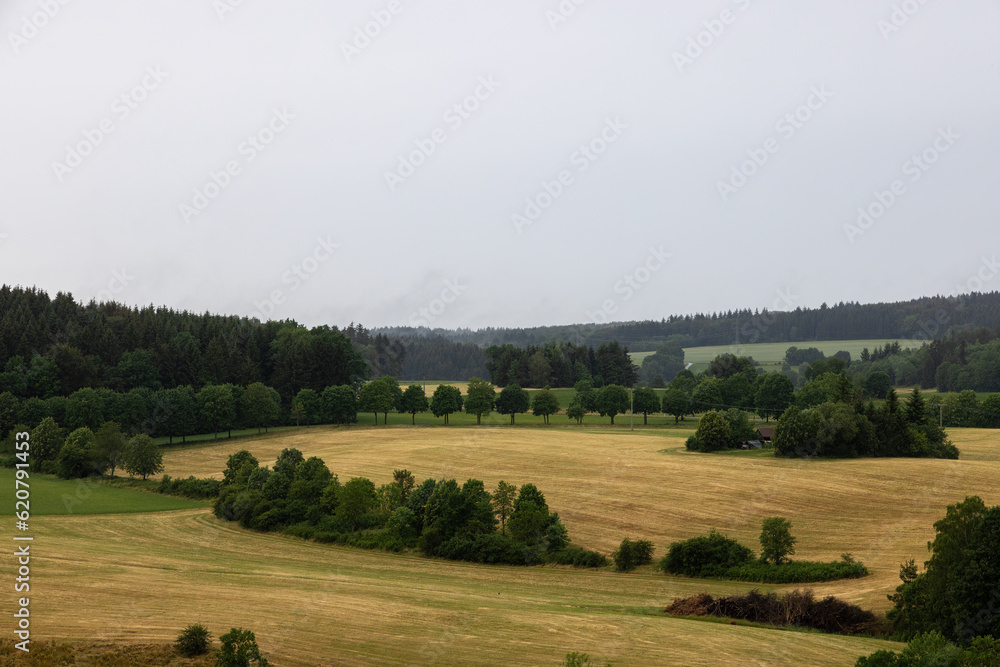 Obraz premium landscape in Baden Wuerttemberg with forests, deciduous and coniferous trees, fields, fog and low clouds on a cloudy summer day