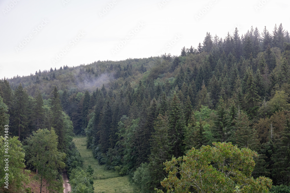 landscape in Baden Wuerttemberg with forests, deciduous and coniferous trees, fields, fog and low clouds on a cloudy summer day