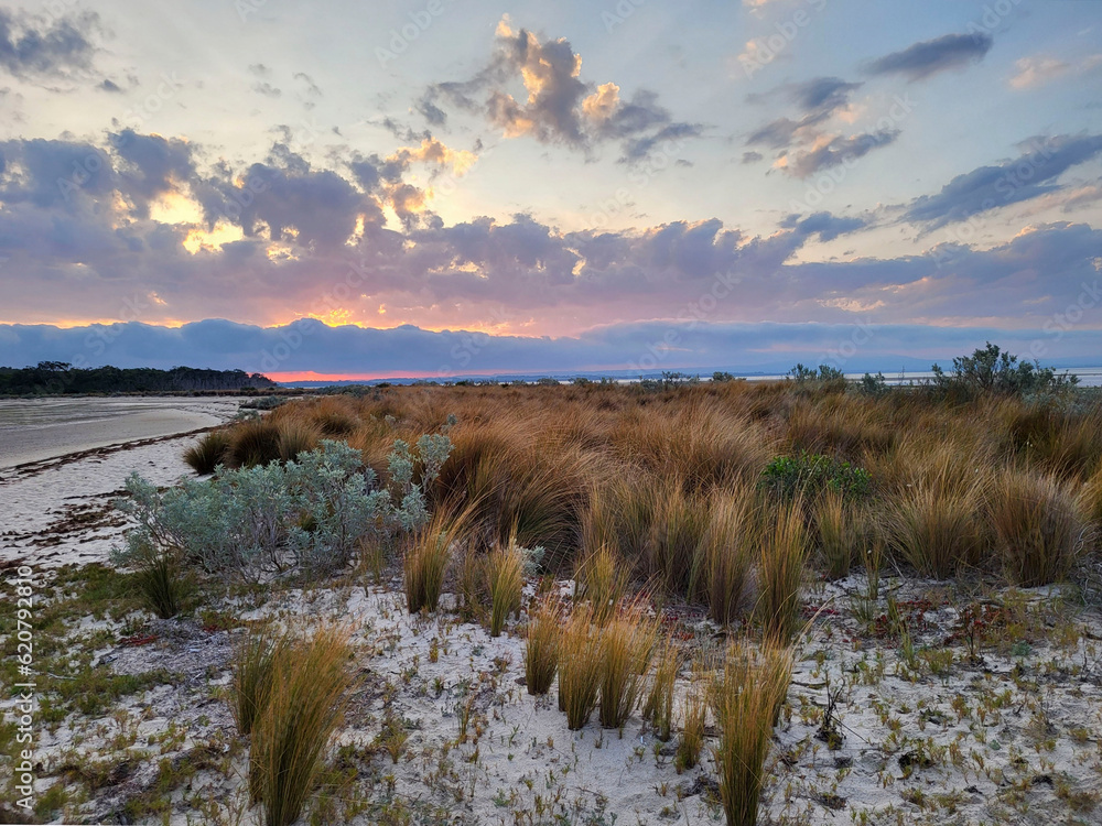 Maram grass at Yanakie Beach leading to Duck Point at sunset - overlooking Corner Inlet Marine and Coastal Park Maram grass at Yanakie Beach leading to Duck Point at sunset - overlooking Corner Inlet Marine and Coastal Park