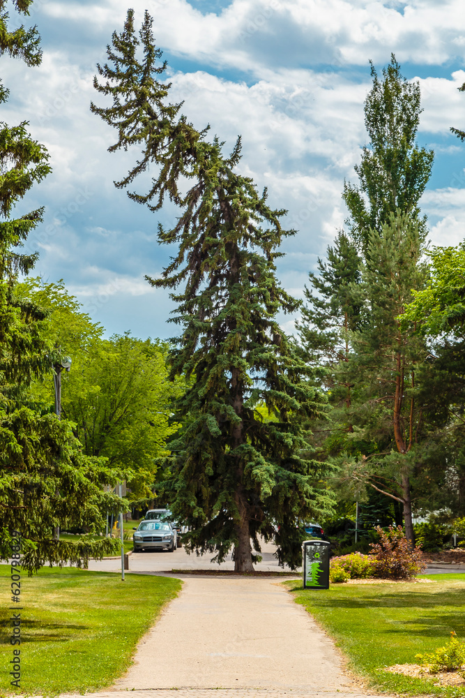 Obraz premium President Murray Park in Saskatoon, Saskatchewan, Canada