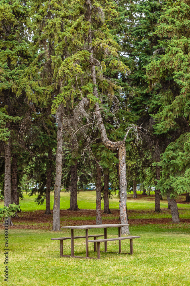 President Murray Park in Saskatoon, Saskatchewan, Canada President Murray Park in Saskatoon, Saskatchewan, Canada