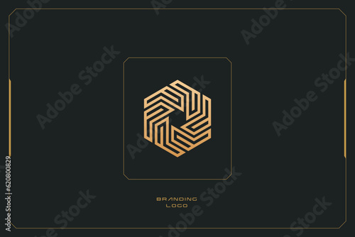 Hexagon Marketing Trading Networking Vector Logo Concept