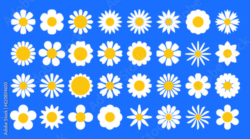 Daisy flower. Chamomile flat icon, cartoon white spring flowers. Botanical summer elements, natural bloom petal. Floral design vector set