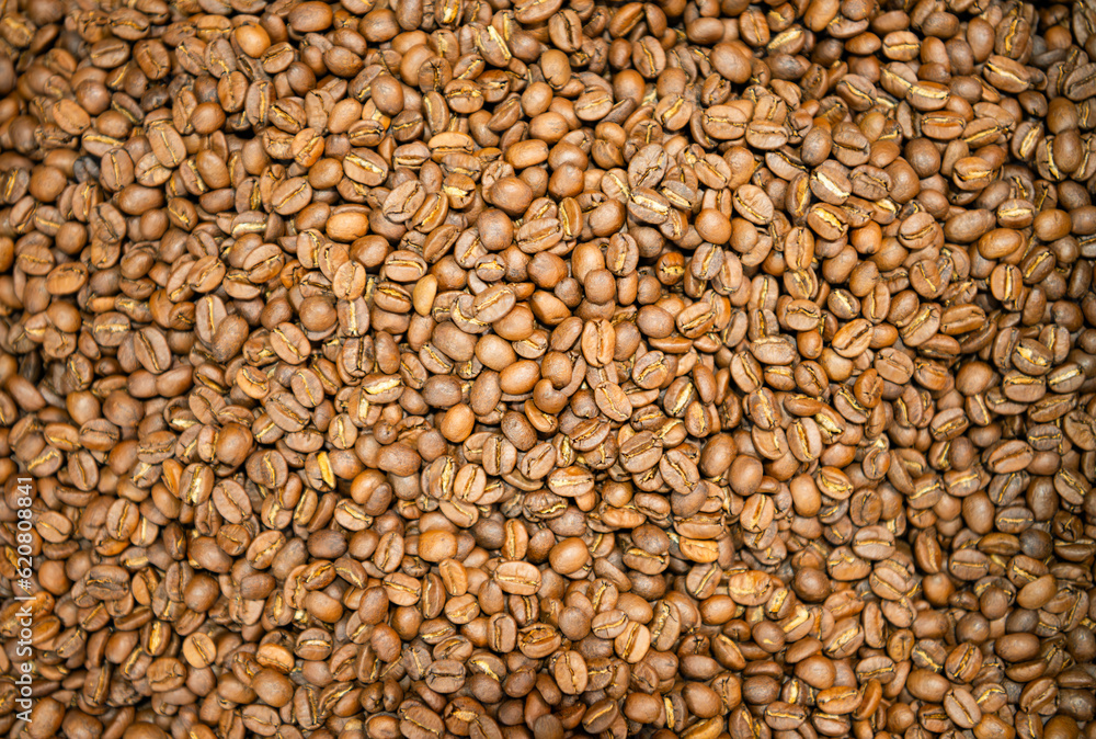 Roasted coffee beans background. Close up of coffee beans background. Roasted coffee beans background. Close up of coffee beans background.