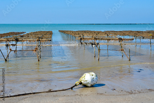 système de capture de larves de moules pour les enrouler sur un bouchot