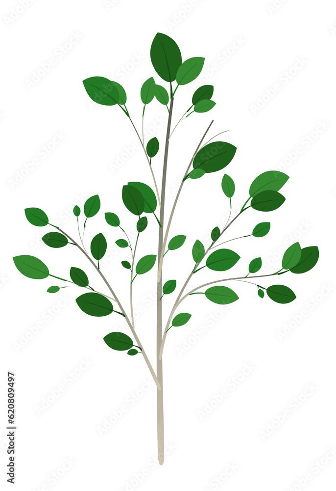 Green isolated twigs with bright green new sprouted leaves. Simple illustration on a white background. Creative element for nature themed brochures, games or other uses. Spring or summer enviromental.