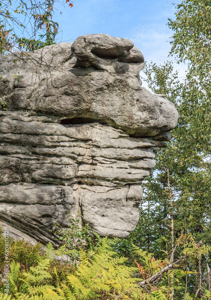 Lonely rock on the red tourist trail between the rock towns of Błędne Skały and Szczeliniec Wielki in the Central Sudetes in the Stolowe Mountains (Poland)