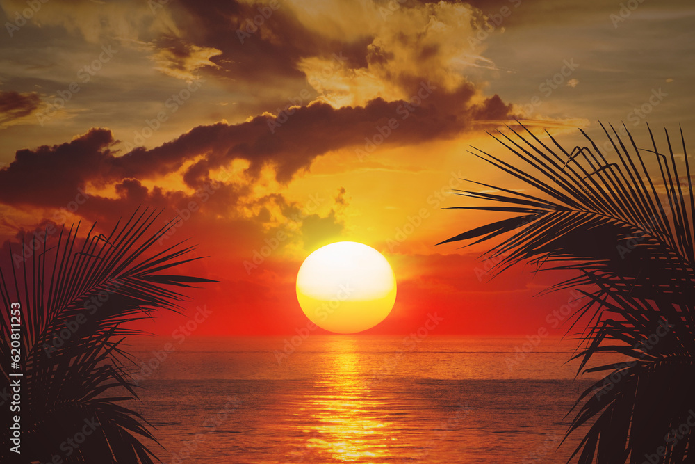Palm tree and sea sunset