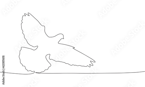 Continuous line art or One Line Drawing of dove bird picture vector illustration