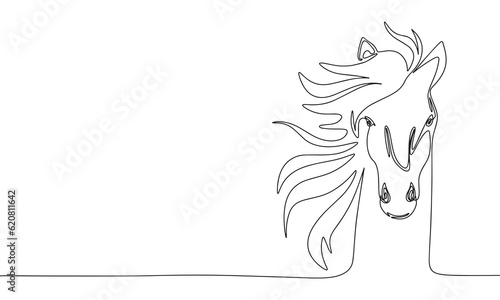 Continuous line art or One Line Drawing of head of horse picture vector illustration